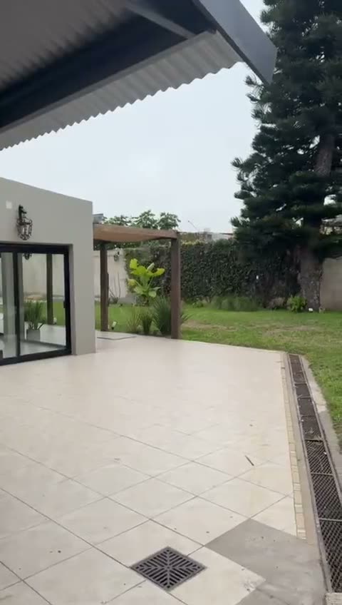 El patio techado, con el pino y el muro cubierto de hiedra
